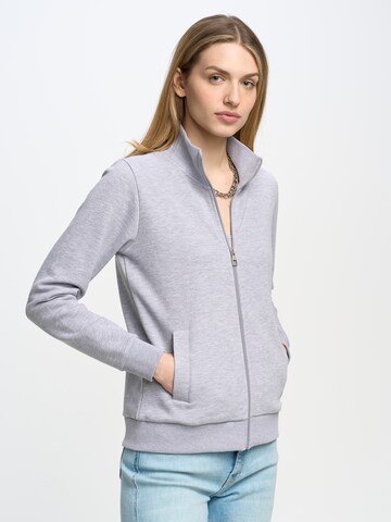 BIG STAR Zip-Up Hoodie 'Chita' in Grey