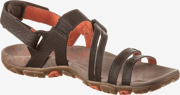 MERRELL Sandal 'Sandspur Rose Convert' in Brown