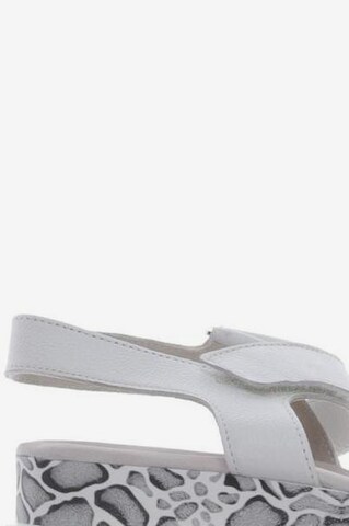 GABOR Sandals & High-Heeled Sandals in 41,5 in White