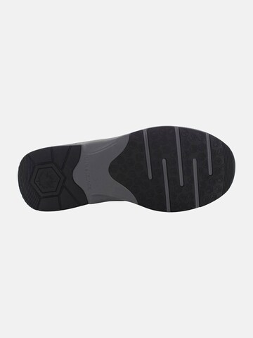 Baskets basses Lumberjack en noir