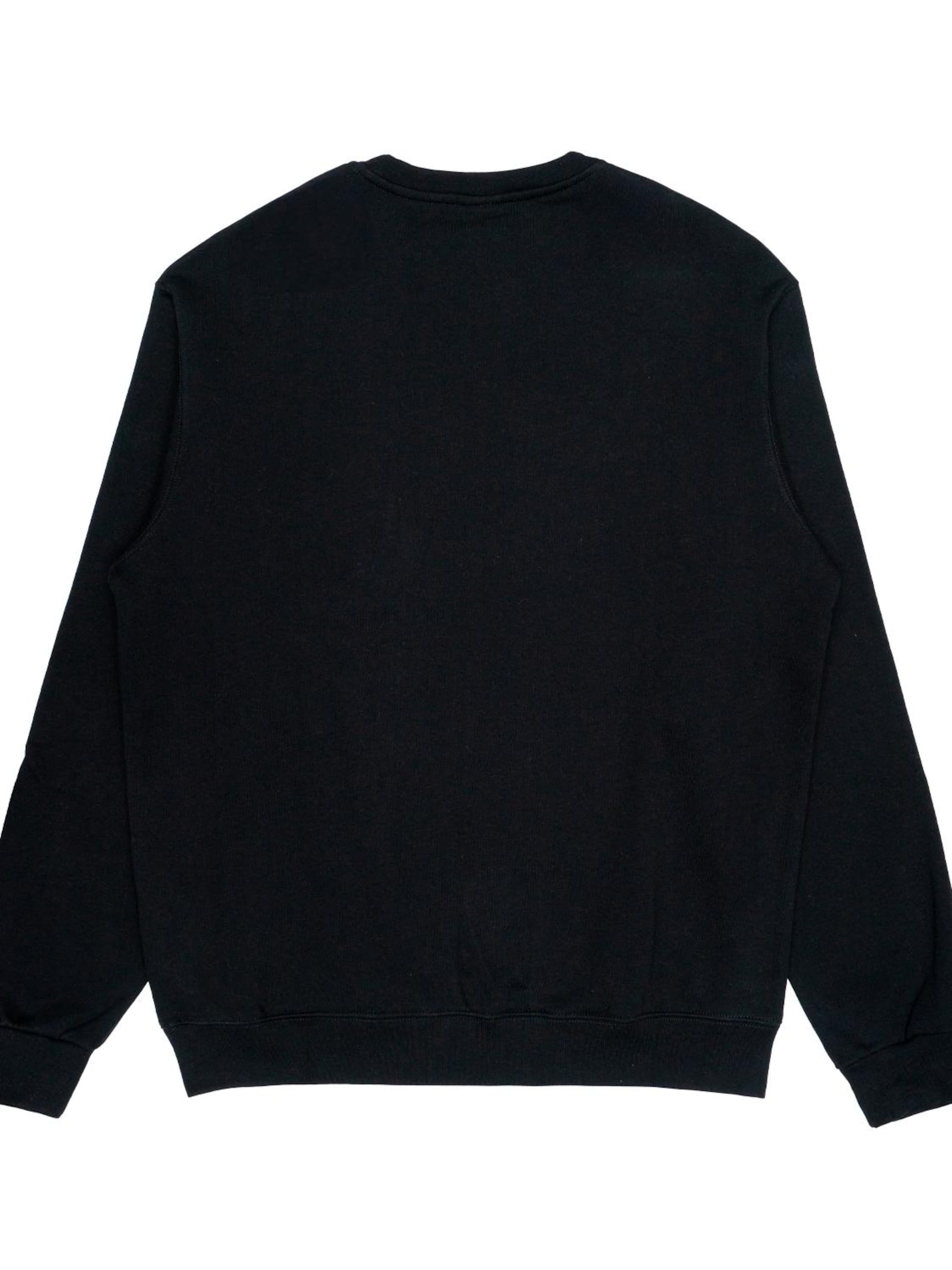 Felpa di Iriedaily in nero