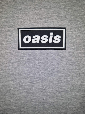 Giacca di felpa 'Definitely MaybePromo' di Oasis in grigio