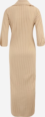 Dorothy Perkins Maternity Kleid in Beige