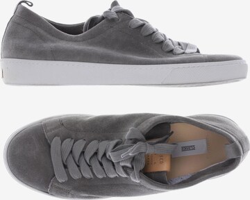 Closed Sneakers & Trainers in 38 in Grey: front