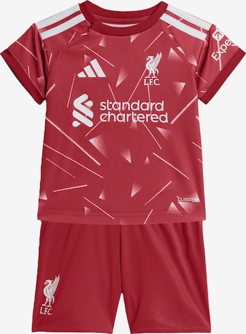 ADIDAS PERFORMANCE Tracksuit 'FC Liverpool 26/27' in Red: front