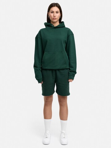 Daily Cotton Sweatshirt 'DCAVILA' in Green