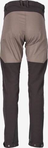 Whistler Regular Outdoor Pants 'ANISSY W' in Brown