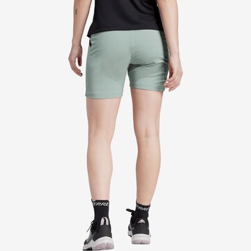 ADIDAS TERREX Regular Outdoorshorts 'Xperior' in Grün