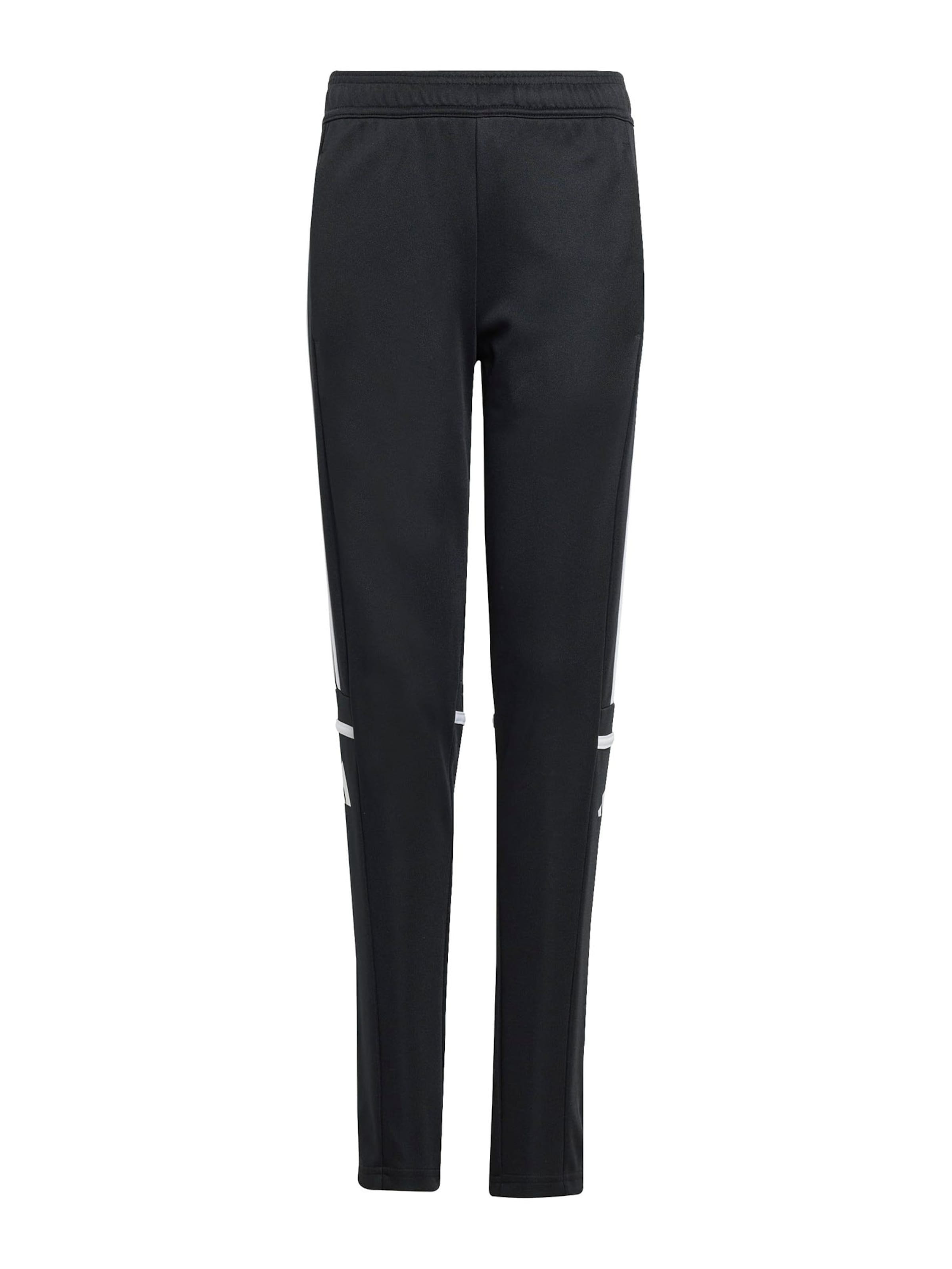 Slimfit Pantaloni sport 'Squadra 25' de la ADIDAS PERFORMANCE pe negru: față
