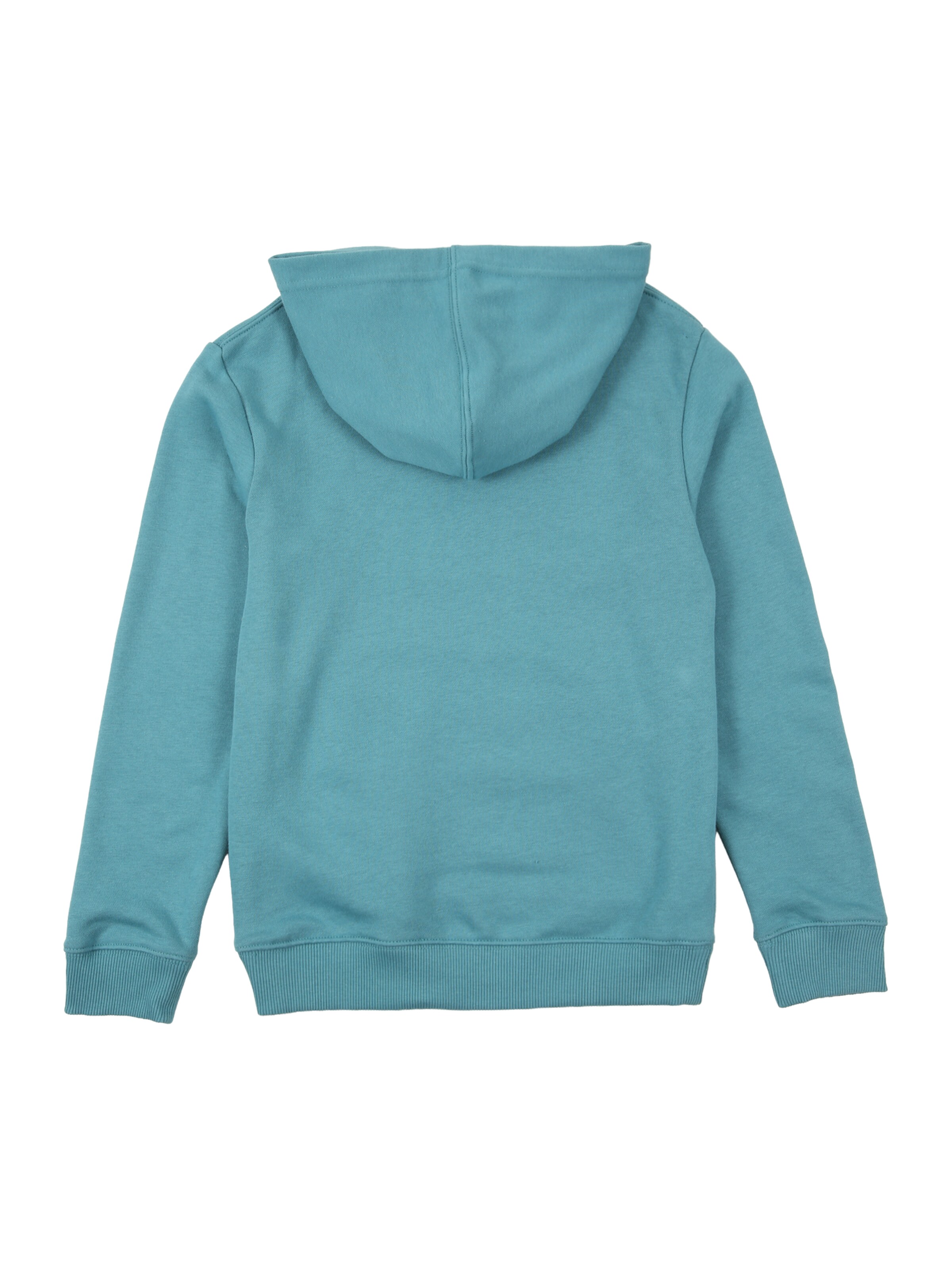 DC Shoes Sports sweatshirt in Blue