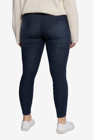 Studio Untold Regular Jeans in Blau