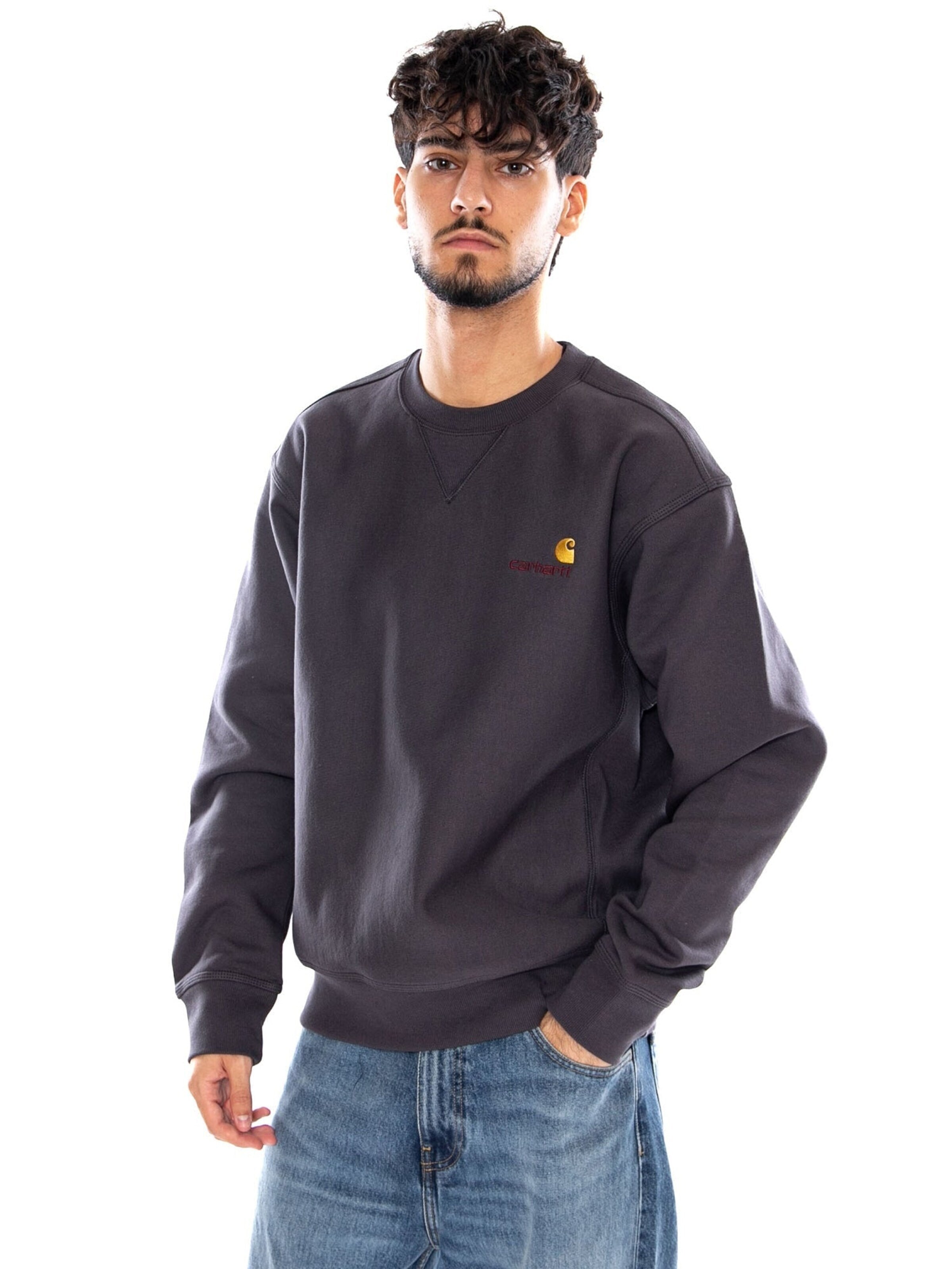 Carhartt WIP Sweatshirt 'AMERICAN' in Grijs