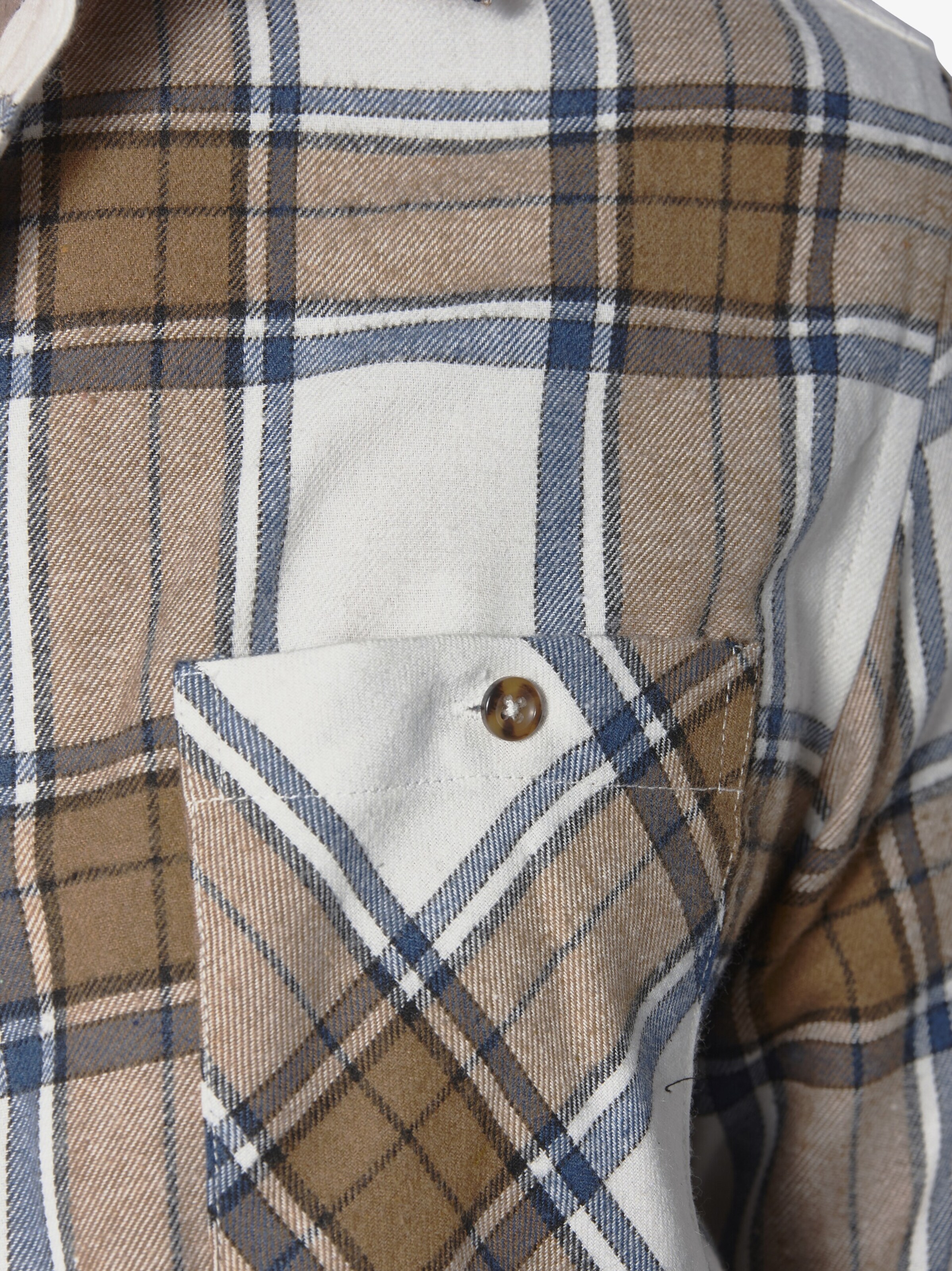 BABISTA Regular fit Button Up Shirt 'Saltinora' in Brown