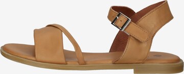 ILC Sandalen met riem in Bruin