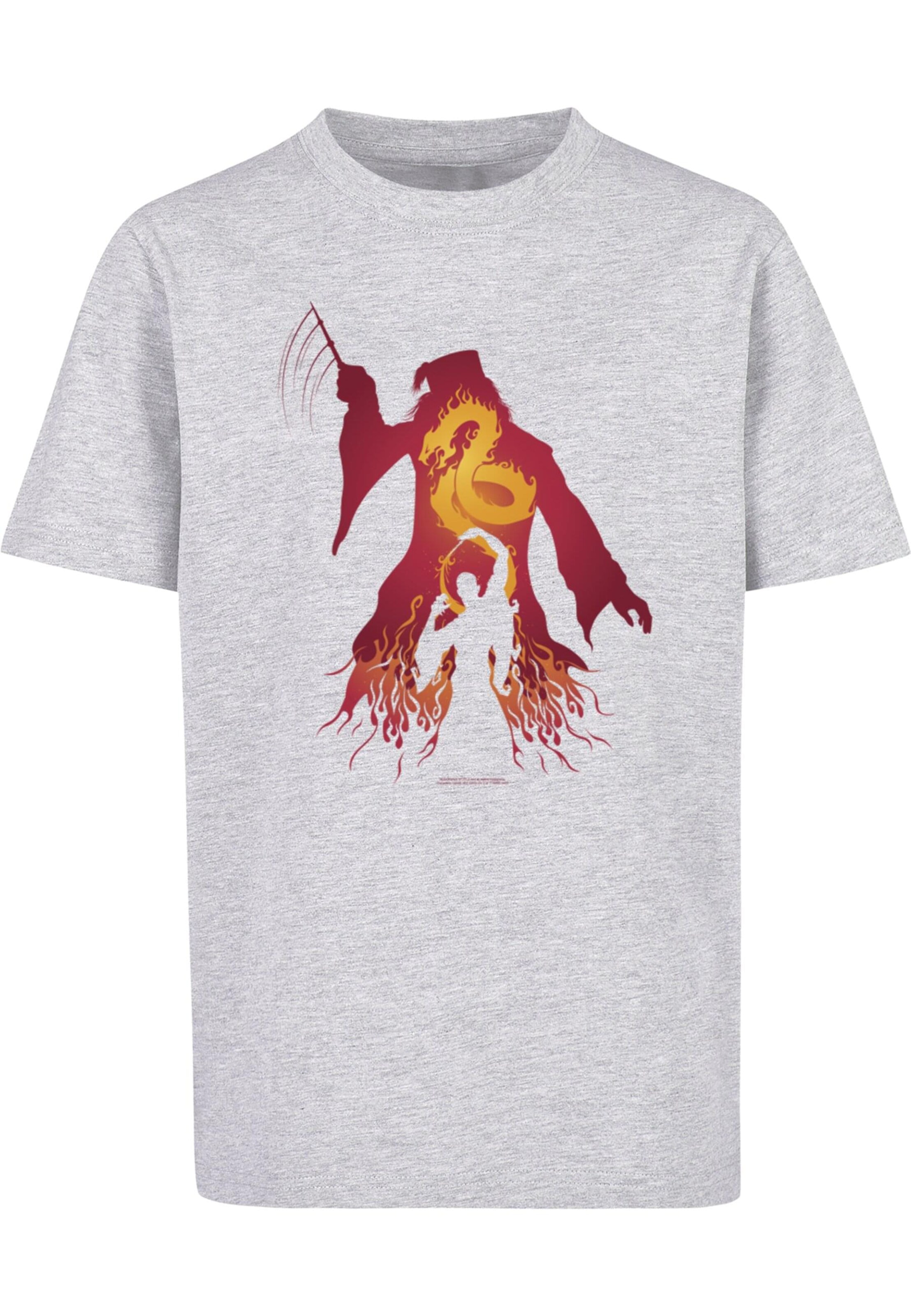 ABSOLUTE CULT Shirt 'Harry Potter - Dumbledore' in Grey: front