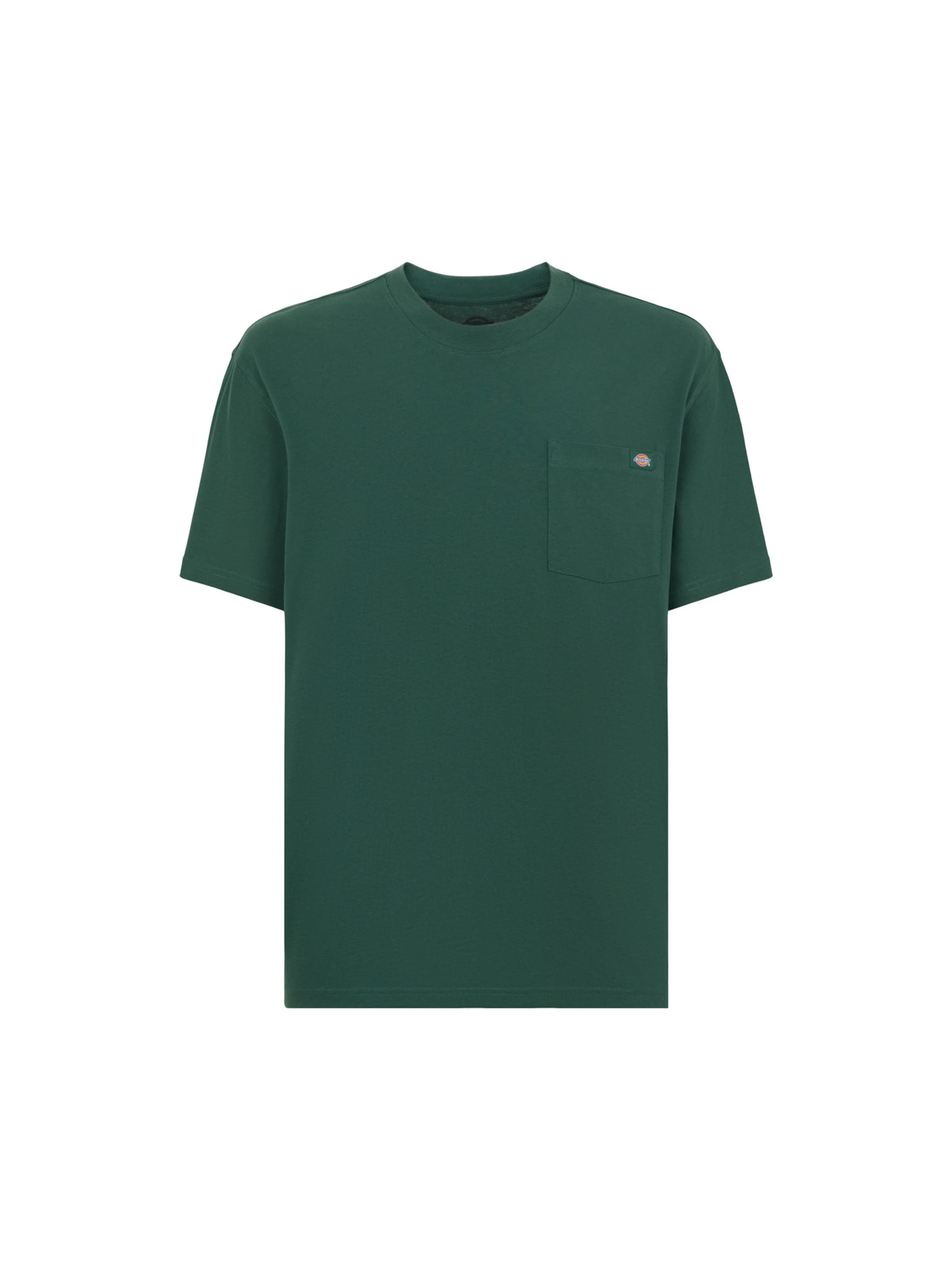 DICKIES Shirt 'Luray' in Green: front