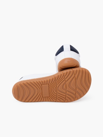 Pisamonas Sneakers in Blauw