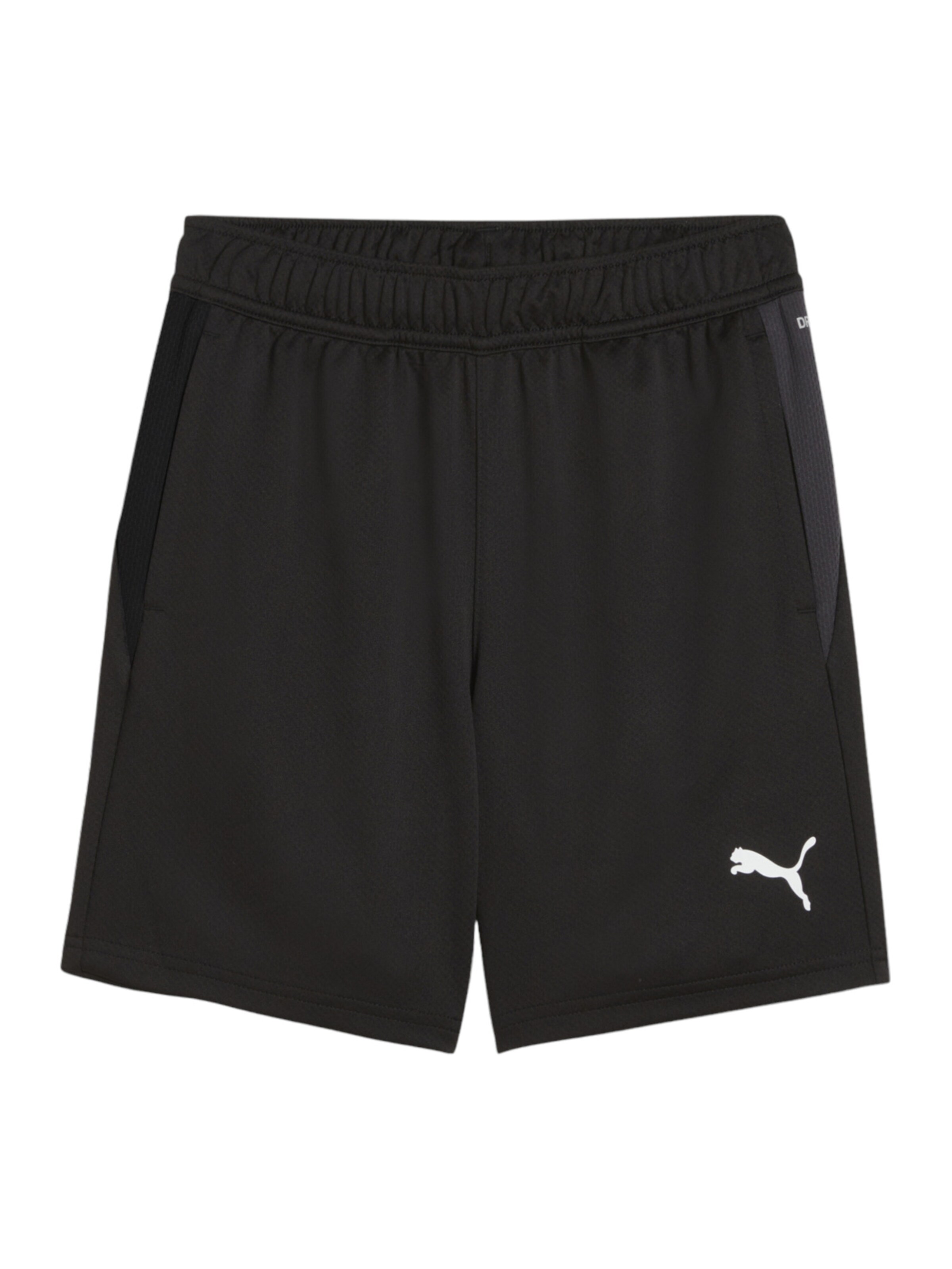 PUMA Regular Sportshorts 'TeamGoal' in Schwarz: Vorderseite