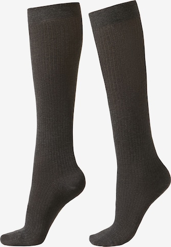 CALZEDONIA Socks in Black: front