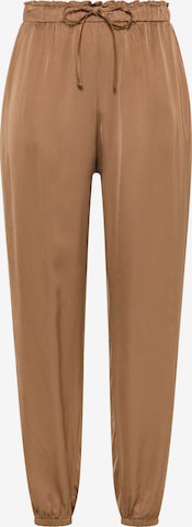 regular Pantaloni sportivi di DEHA in marrone: frontale