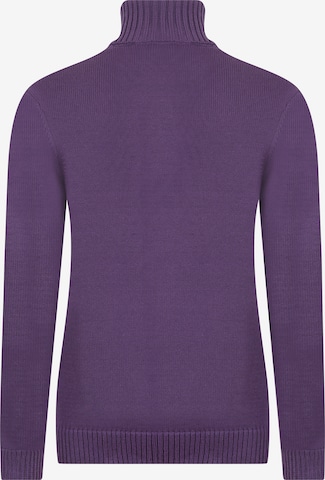 DENIM CULTURE Sweater 'Estelle' in Purple