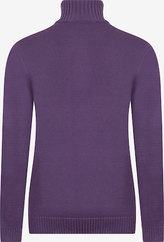 DENIM CULTURE - Pullover 'Estelle' em roxo