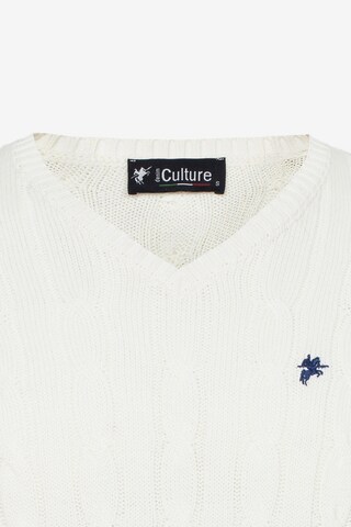 DENIM CULTURE Sweater 'MAURIZIO' in White