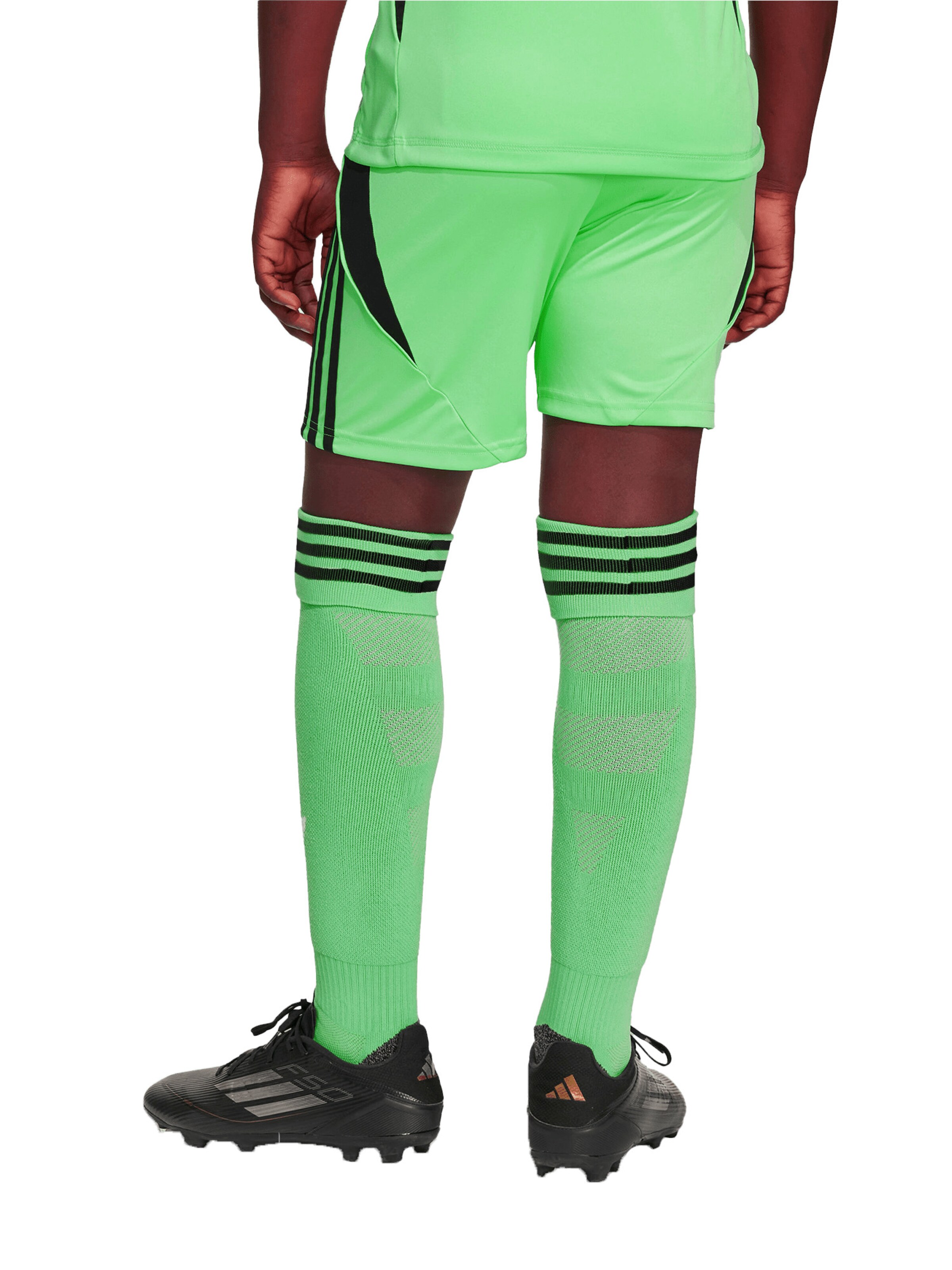 FC BAYERN MÜNCHEN Regular Workout Pants in Green