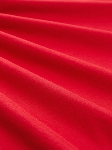 TOM TAILOR Shirt in Red