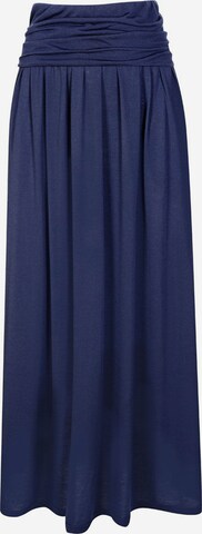 HotSquash Skirt in Blue: front