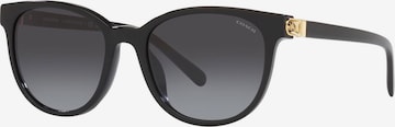 COACH Sunglasses in Black: front