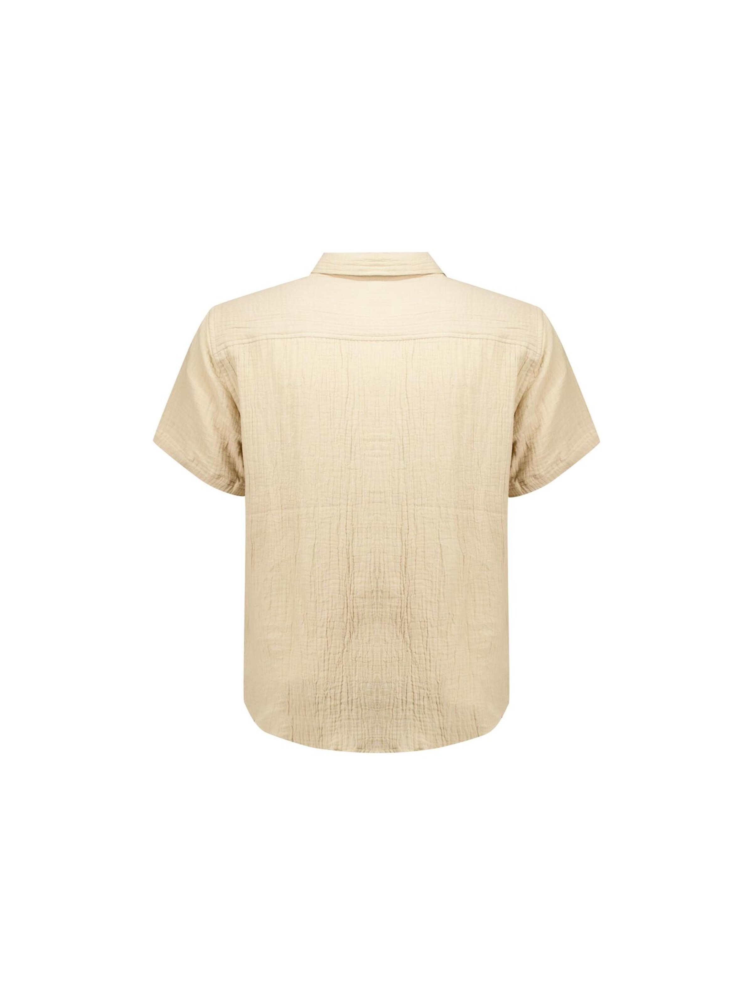 Deeluxe Regular fit Overhemd 'Squizz' in Beige