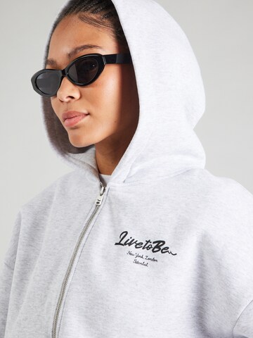 LTB Zip-Up Hoodie 'MIRONE' in Grey