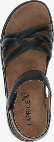 CAPRICE Sandals in Black