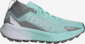 Chaussure basse 'Agravic' ADIDAS TERREX en vert : devant