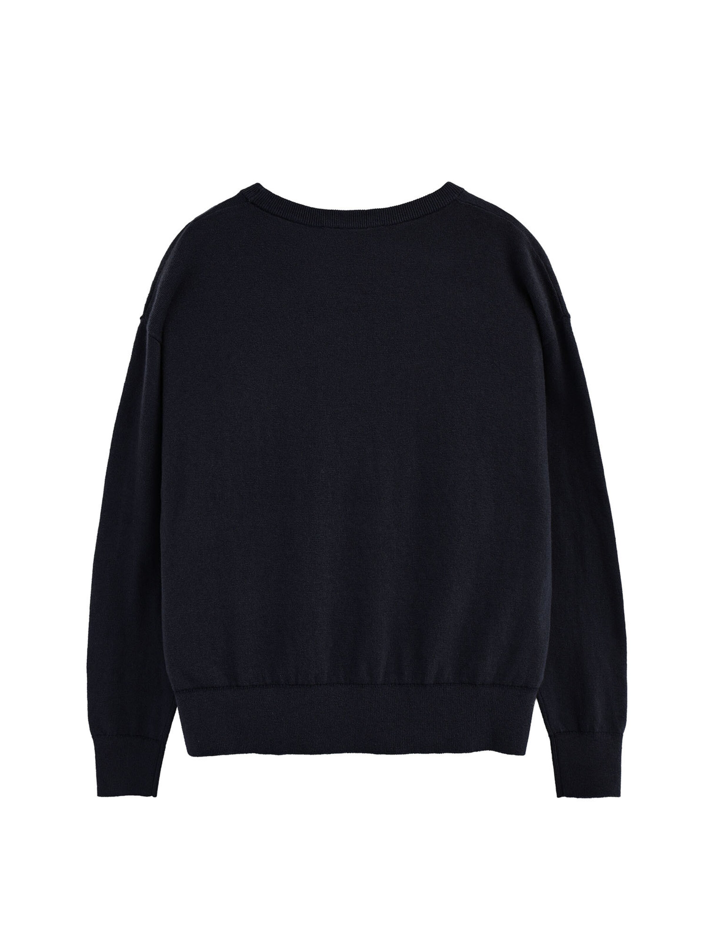 Polo Club Sweater in Blue