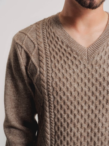 ABOUT YOU x Kevin Trapp Sweater 'Mert' in Brown