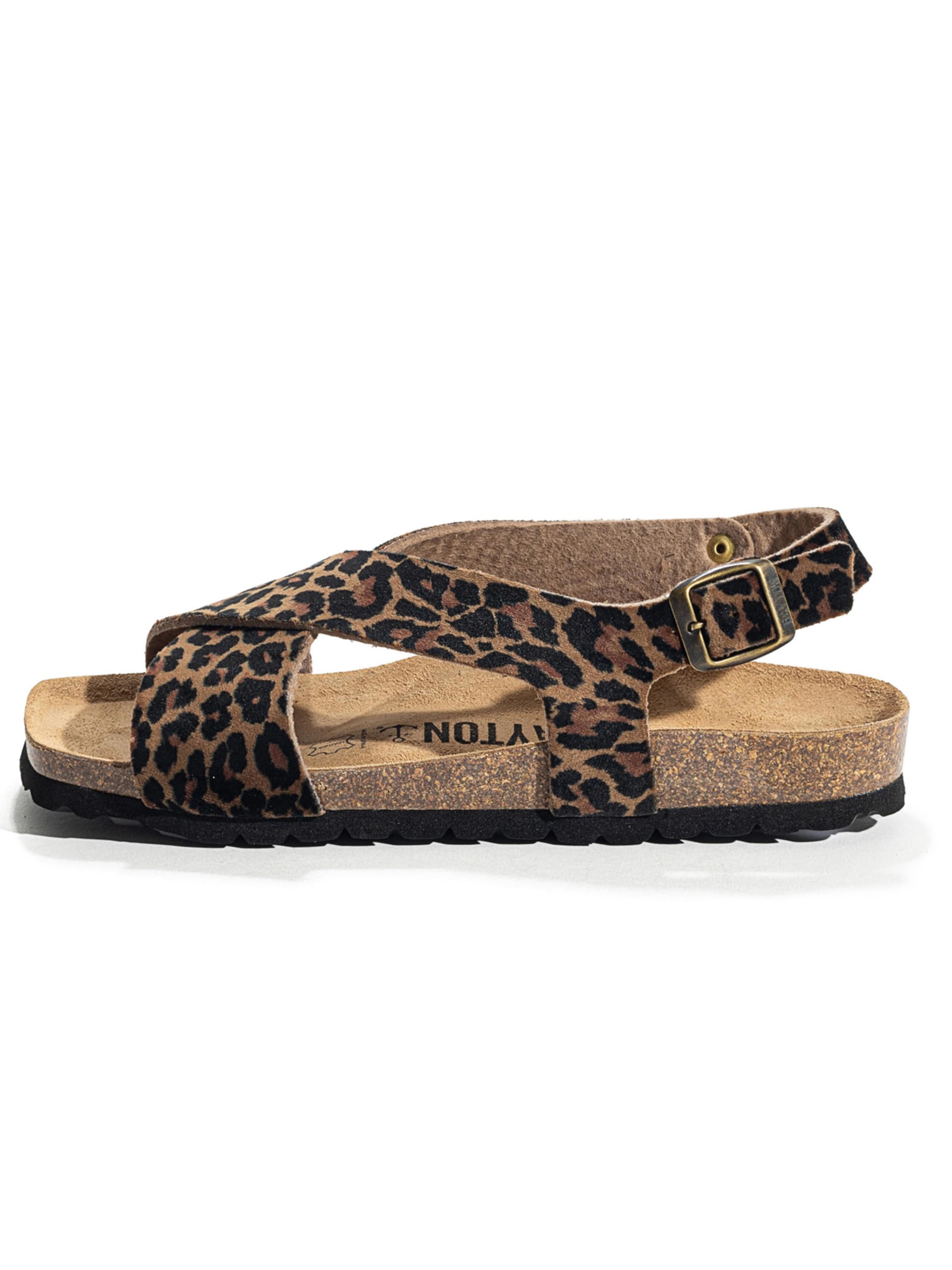 Bayton Σανδάλι 'RIOJA' σε καφέ: μπροστά