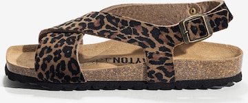 BaytonSandale 'RIOJA' - smeđa boja: prednji dio