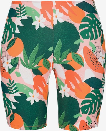 Ulla Popken Athletic Bikini Bottoms in Mixed colors: front
