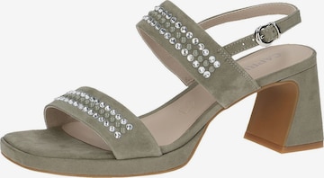 CAPRICE Sandals in Green: front