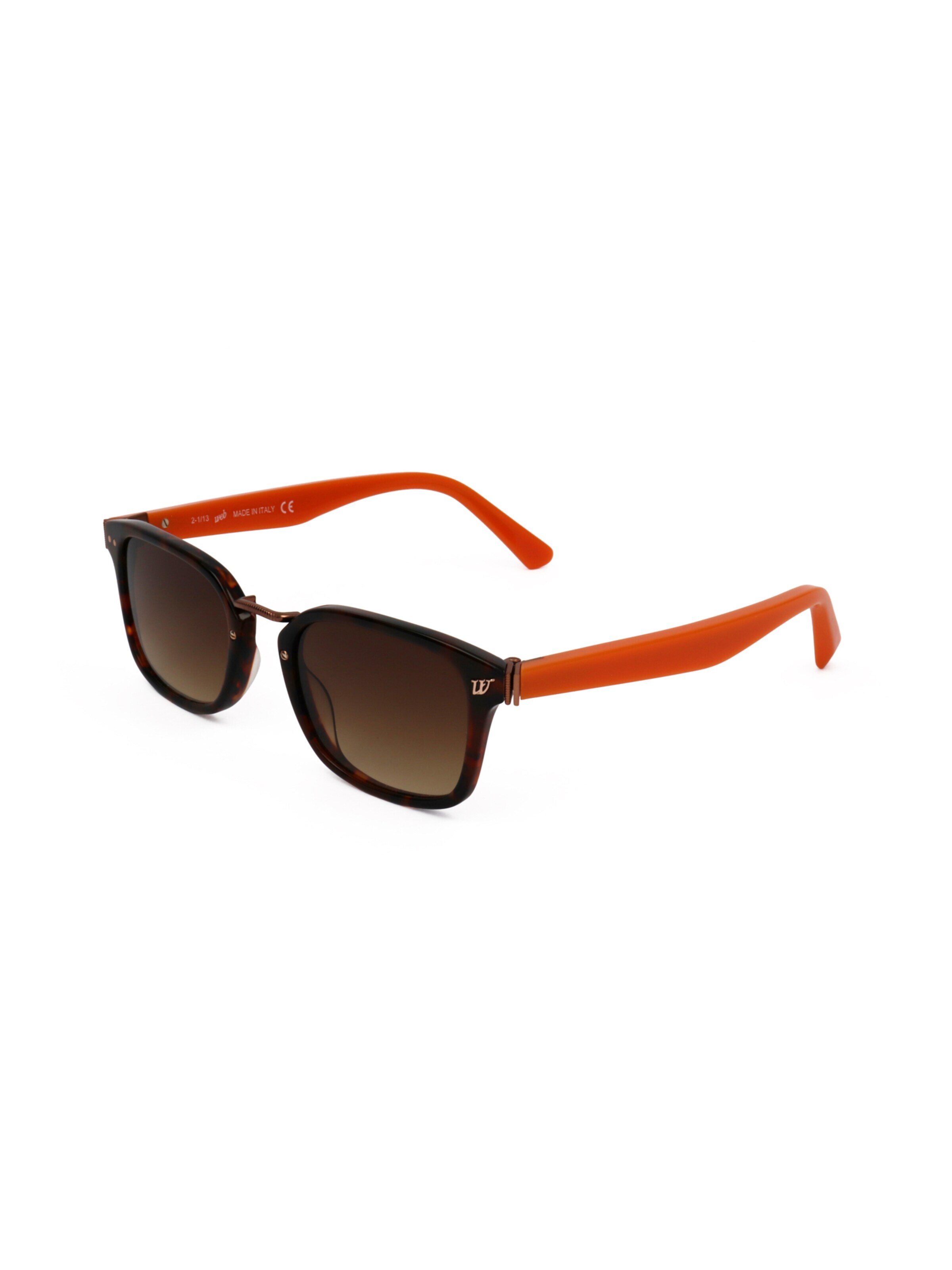 Occhiali da sole 'WE0113' di Web Eyewear in marrone: frontale