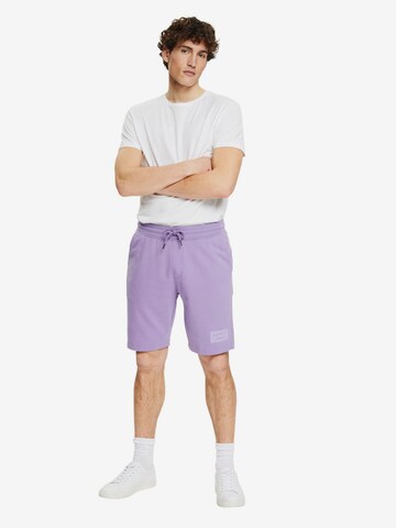 ESPRIT Regular Pants in Purple