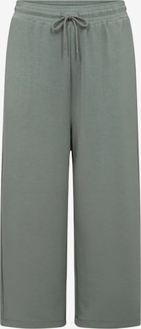 Pantaloni 'Sabina' di Wasabi Concept in grigio: frontale