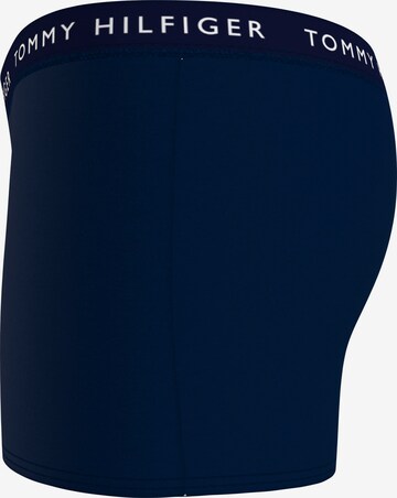 Tommy Hilfiger Underwear Aluspüksid, värv sinine