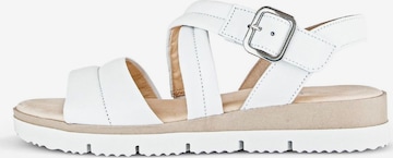 GABOR Strap Sandals in White