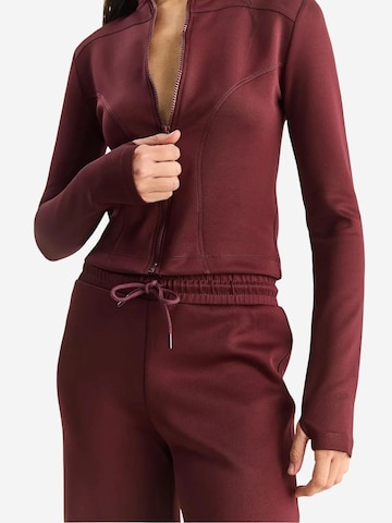 Bianco Lucci - Fato de jogging em roxo