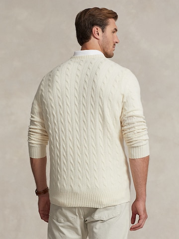 Polo Ralph Lauren Big & Tall Pullover in Beige