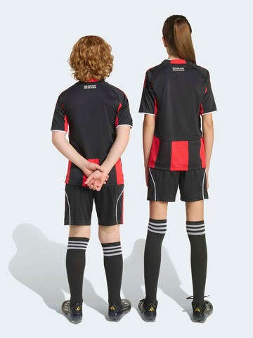 ADIDAS PERFORMANCE - Regular Calças de desporto em preto
