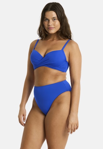 SEA LEVEL Push-up Bikinitop 'Essentials' in Blau